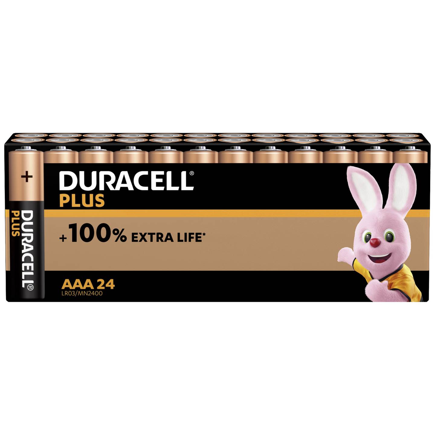 Duracell Plus Power AAA battery Alkali-manganese 1.5 V 24 pack